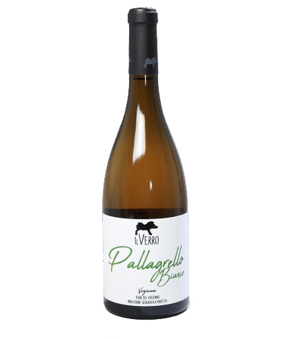 Pallagrello Bianco