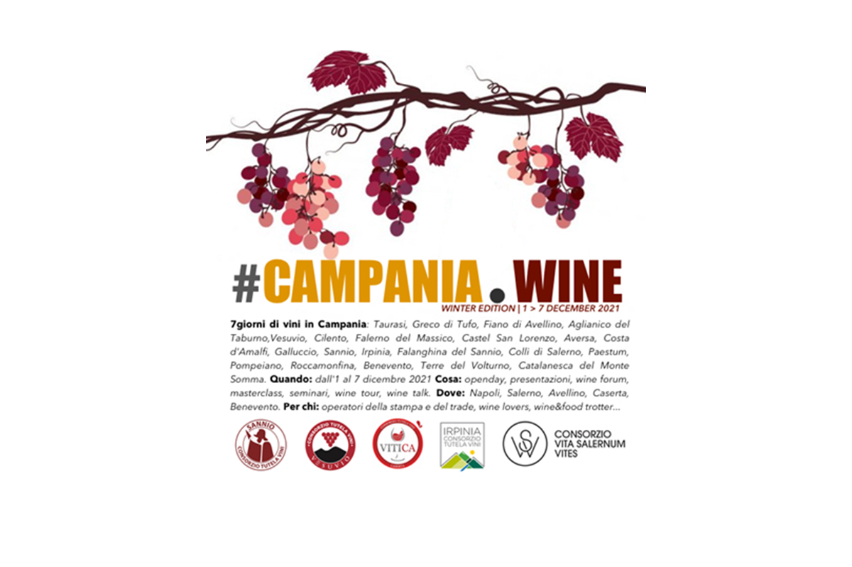 Campania Wine